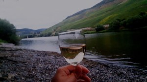 Moselurlaub in Reil mit hauseigenem Moselwein